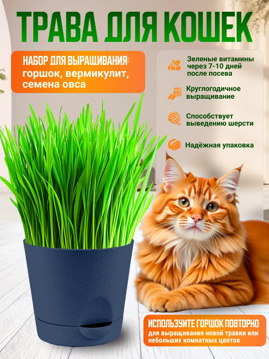 Трава для кошек набор для выращивания Графитовый