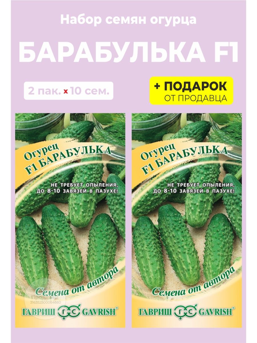 Барабулька огурец описание и отзывы. Огурец Барабулька. Барабулька огурцы описание. Огурец Барабулька отзывы фото. Огурцы Барабулька фото.