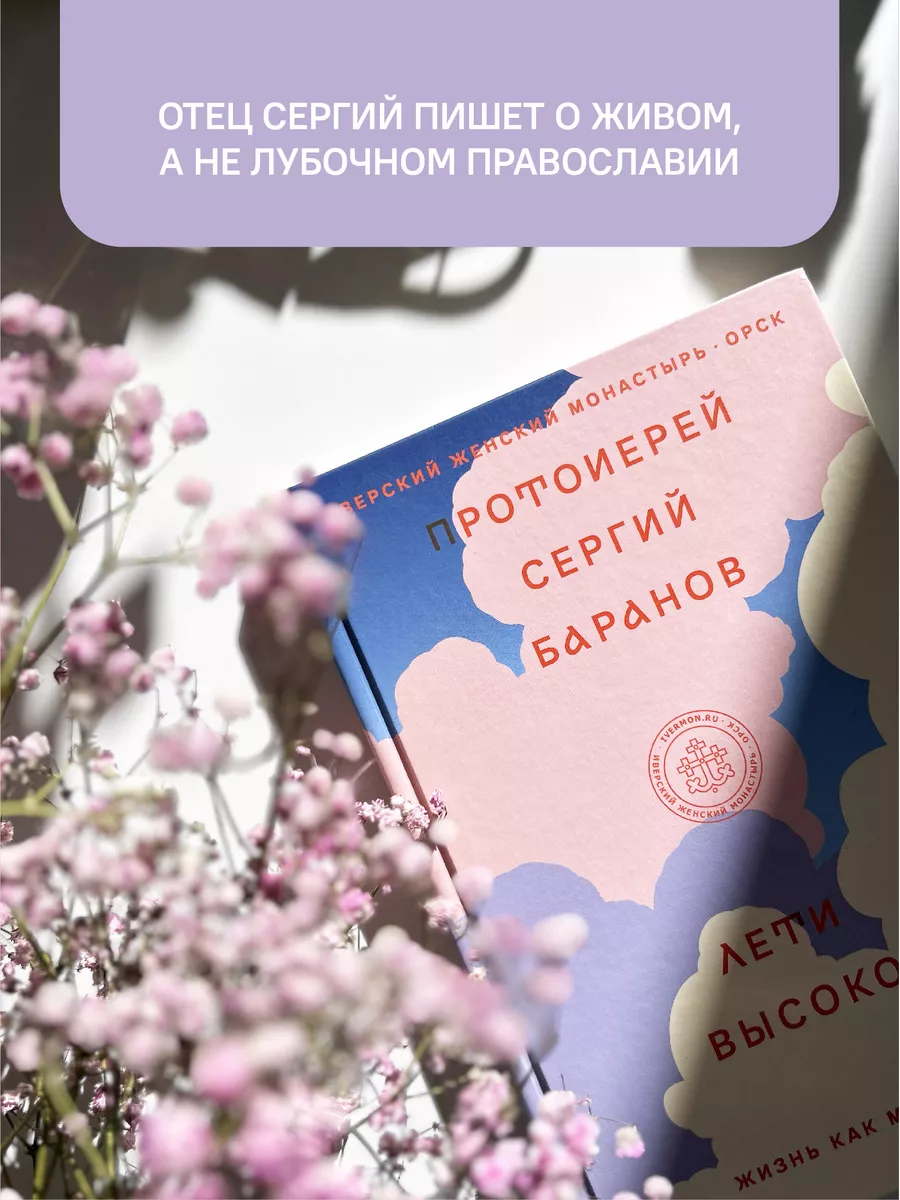 Книга Лети высоко! Никея 100198410 купить в интернет-магазине Wildberries