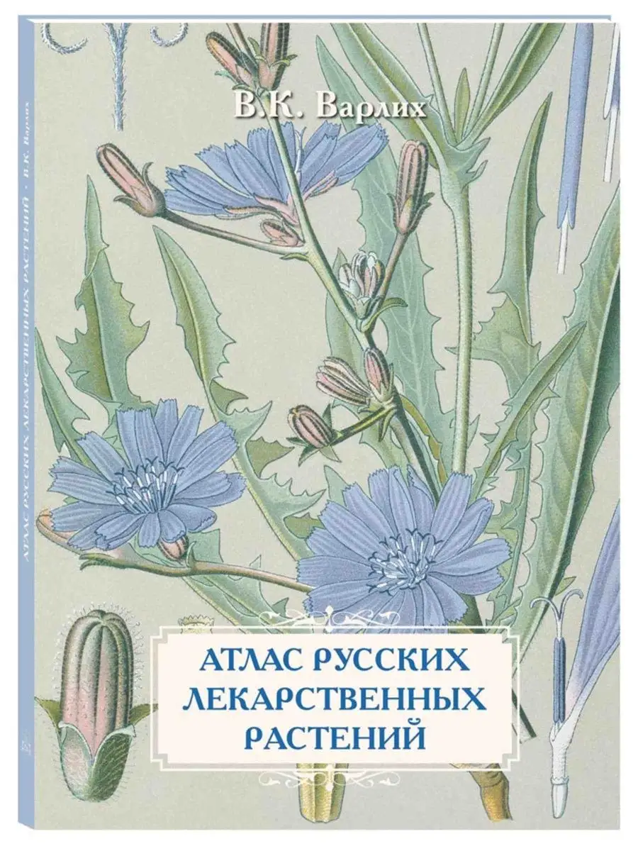 Атлас русских лекарственных растений. В.К. Варлих