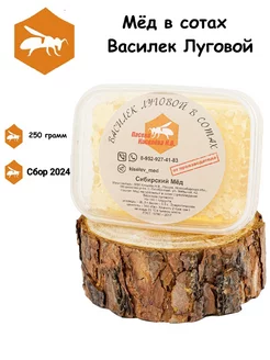 Мёд Василек Луговой в сотах/250 грамм Пасека Киселёва Н. В. 100209453 купить за 354 ₽ в интернет-магазине Wildberries