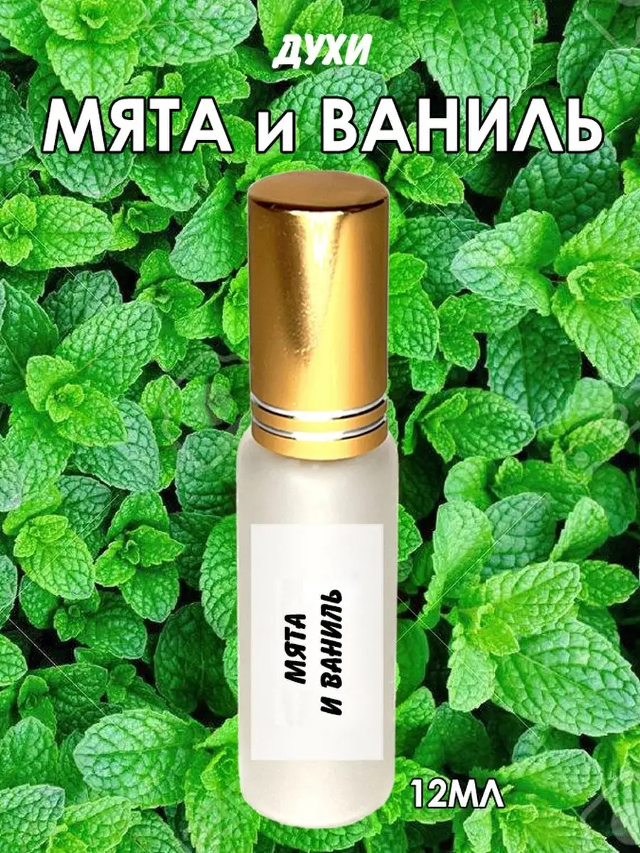 Парфюм Мята Ваниль omg shop 100214758 купить за 577 ₽ в интернет-магазине  Wildberries