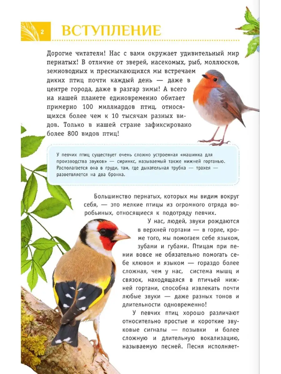 Певчие птицы России: фото с названиями
