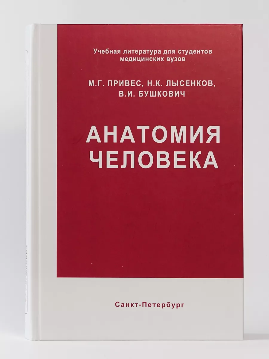 Анатомия человека. Привес. Спб МАПО 100268268 купить за 3 520 ₽ в  интернет-магазине Wildberries