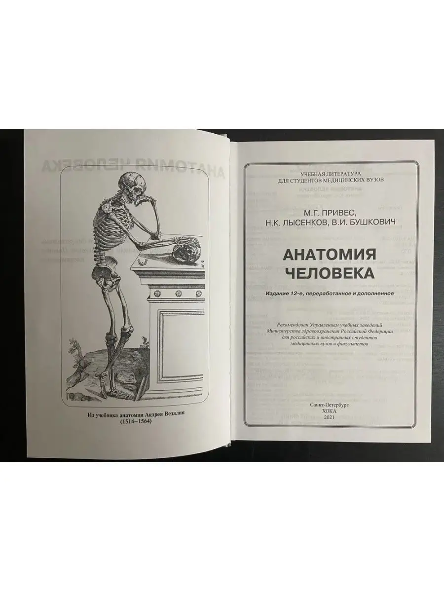 Анатомия человека. Привес. Спб МАПО 100268268 купить за 3 520 ₽ в  интернет-магазине Wildberries