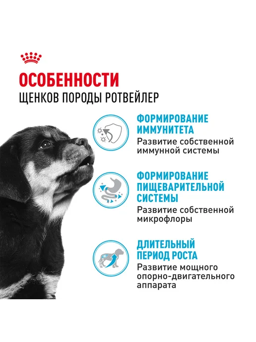 Сухой корм Royal canin Rottweiler Ротвейлер для собак, щенки, 12 кг, фото 3