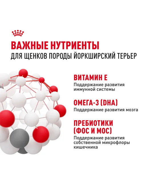 Сухой корм Royal canin Yorkshire Terrier для собак, щенки, 1,5 кг, фото 6