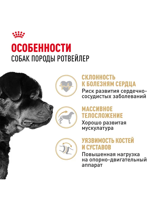 Сухой корм Royal canin Rottweiler Ротвейлер для собак, 12 кг, фото 3