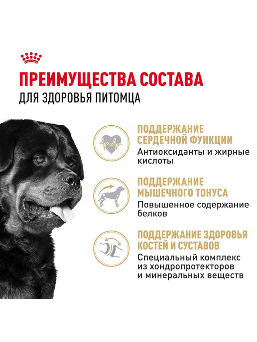 Сухой корм Royal canin Rottweiler Ротвейлер для собак, 12 кг, фото 4