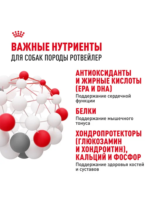 Сухой корм Royal canin Rottweiler Ротвейлер для собак, 12 кг, фото 6
