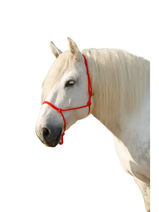 Sweethorse Недоуздок веревочный для лошади, вариант, фото 2