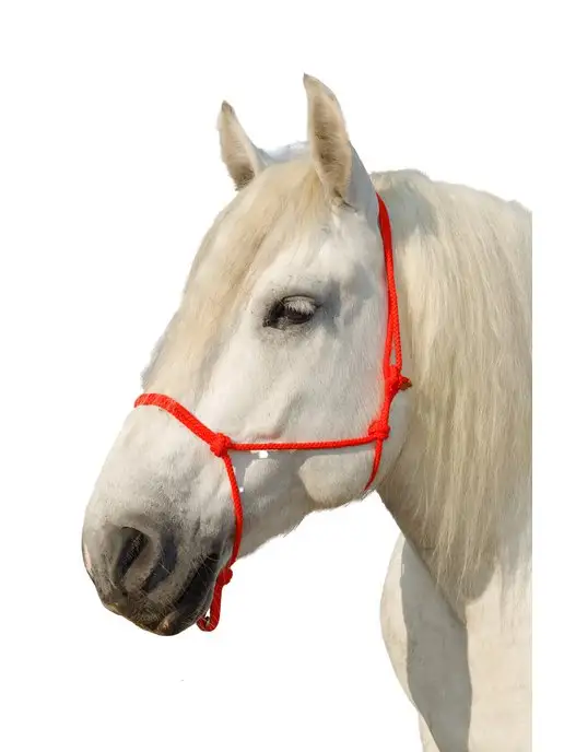 Sweethorse Недоуздок веревочный для лошади, вариант, фото 4