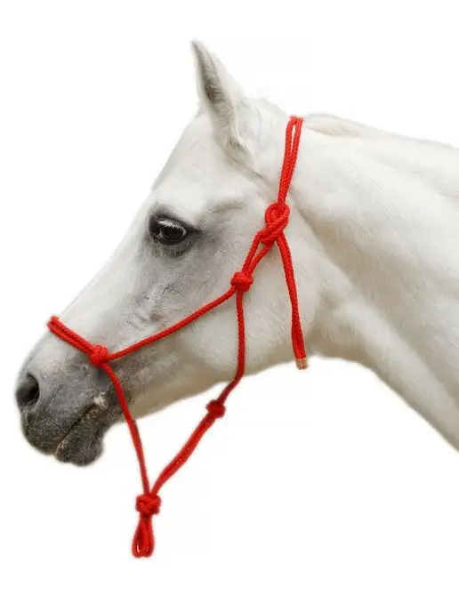 Sweethorse Недоуздок веревочный для лошади, вариант, фото 5