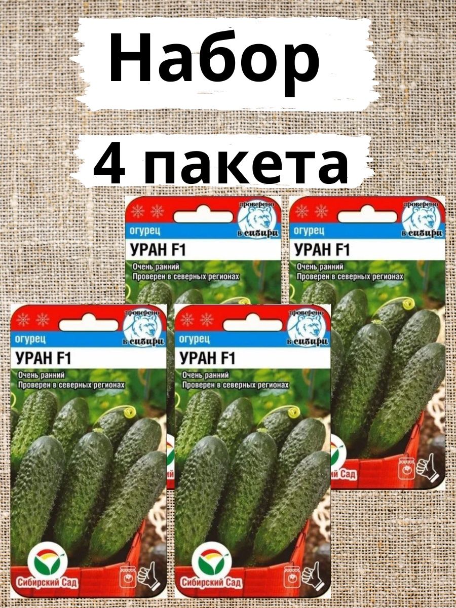 Уран f1. Семена огурец Уран f1 5шт. Партнер. Огурец Уран Престиж. Огурец Уран f1.