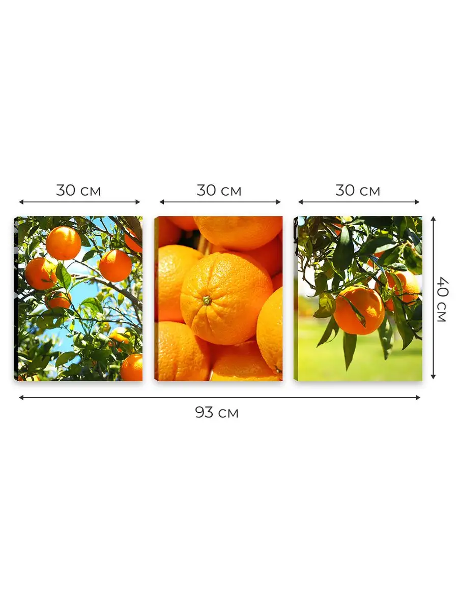 Купить постер Апельсины на стену от руб. в магазине DasArt