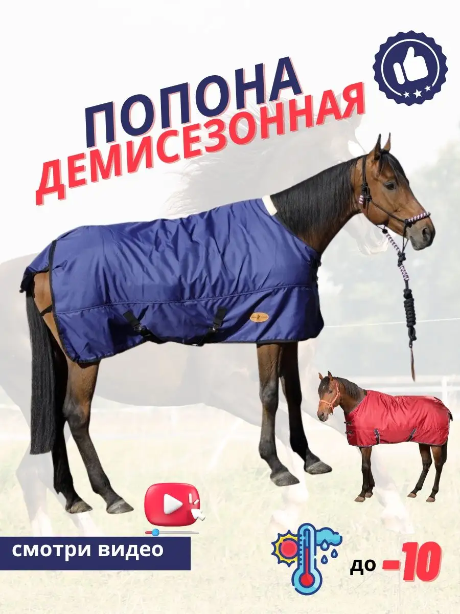 Sweethorse Попона для лошади