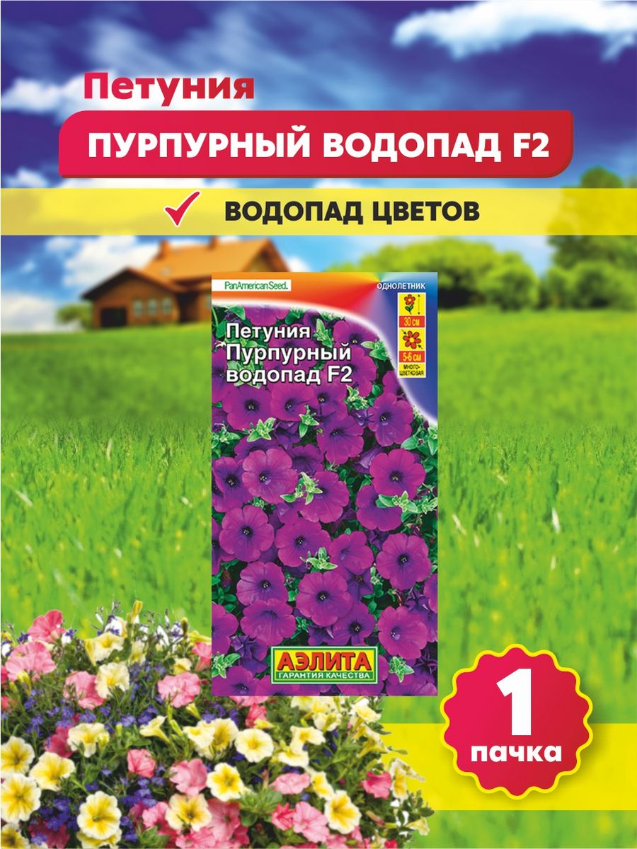 Петуния водопад f1. Петуния пурпурный водопад. Петуния Титан пурпуровый. Семена петунии от Аэлиты.