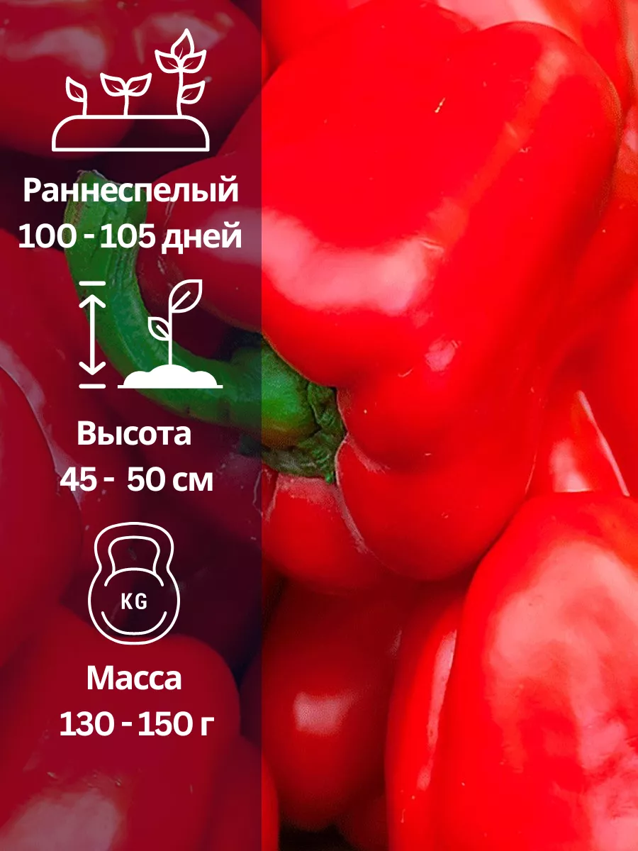 Характеристики овощной культуры
