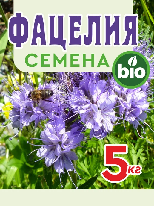 ЭкспертБиоОрганик Фацелия семена цветов сидерат медонос 3 кг, 5 кг