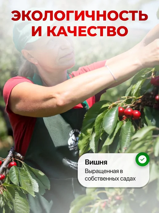 Мед и Конфитюр Сбитень с вишней и шиповником сироп 250 мл, 250 мл, фото 7