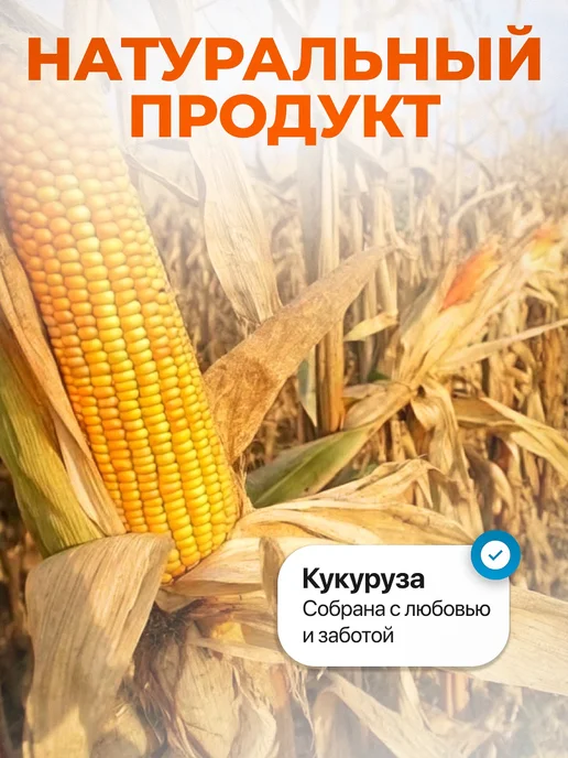 Мед и Конфитюр Саго тапиока крупа без глютена 500 гр постная 2 шт, 500 г, фото 5
