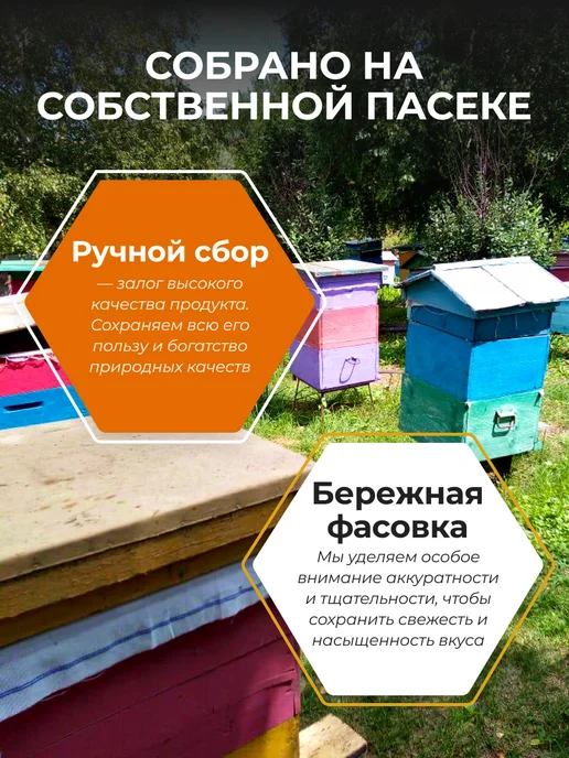 Мед и Конфитюр Пыльца пчелиная натуральная обножка, 1 кг, 1 кг, фото 6