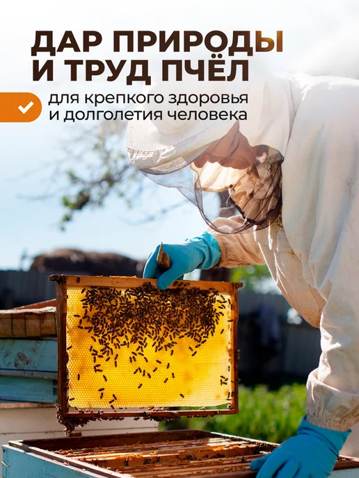 Мед и Конфитюр Пыльца пчелиная натуральная обножка, 1 кг, 1 кг, фото 8