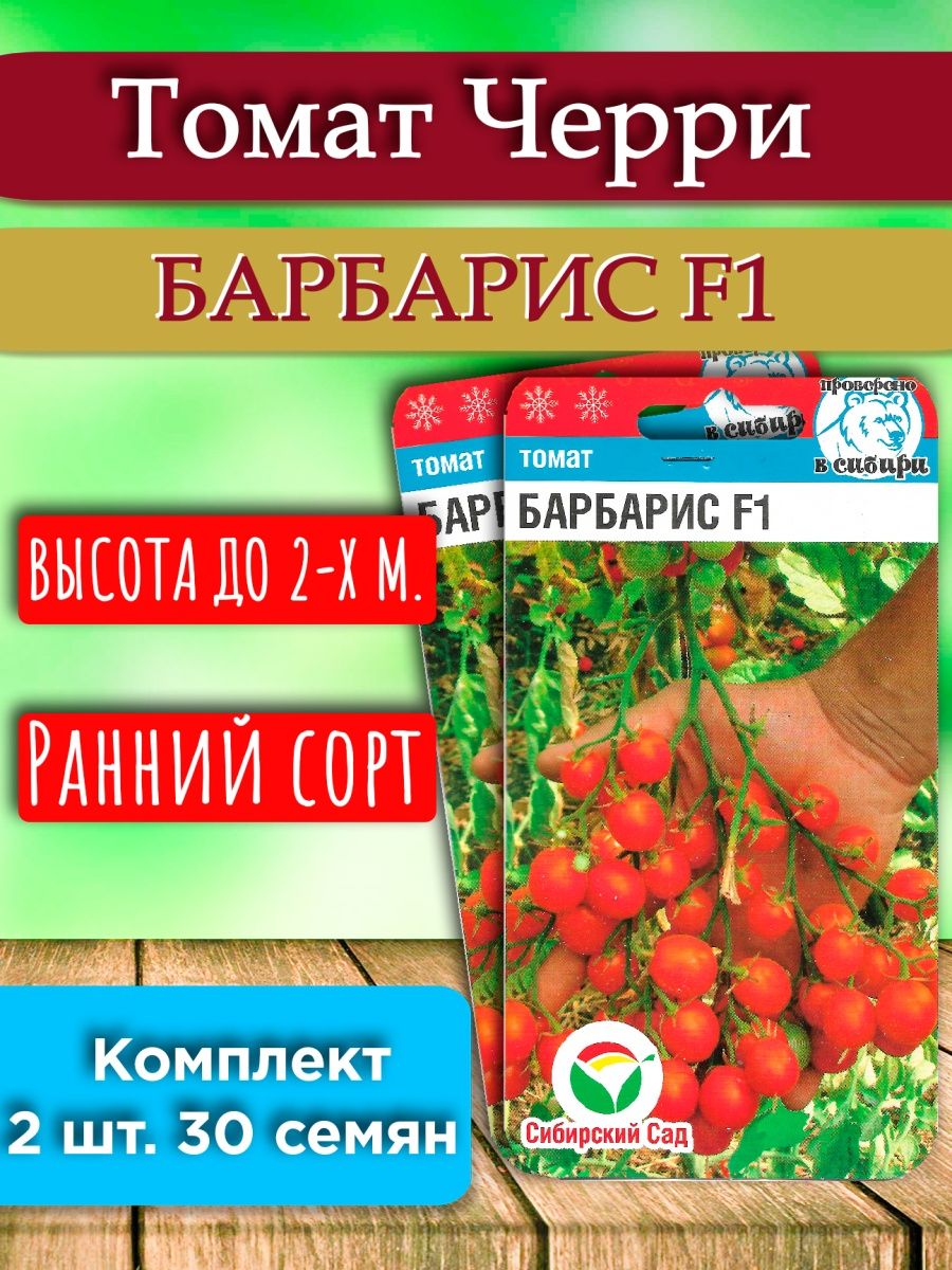 Томат океан отзывы. Томат черри Барбарис. Томат Барбарис f1. Томат черри Барбарис фото. Черри Барбарис в каком грунте можно сажать.