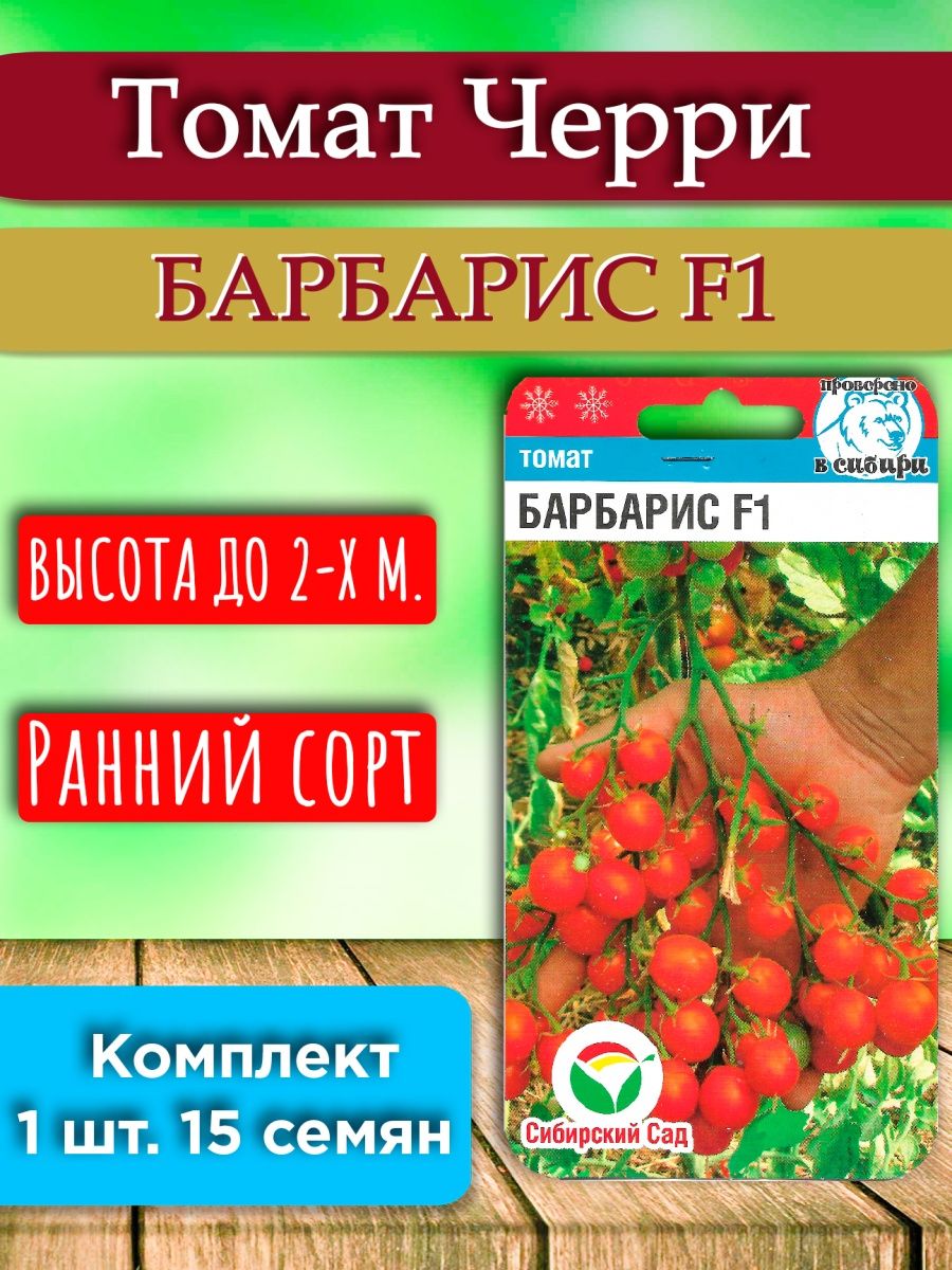 Томат барбарис описание. Томат Барбарис. Помидоры Барбарис. Барбарис помидоры описание. Барбарис Сибирский описание.