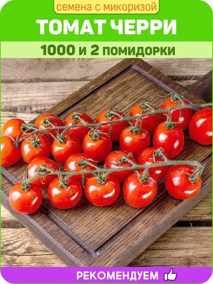 Семена томатов черри 1000 и 2 помидорки Уральский Дачник 100780970 купить в  интернет-магазине Wildberries