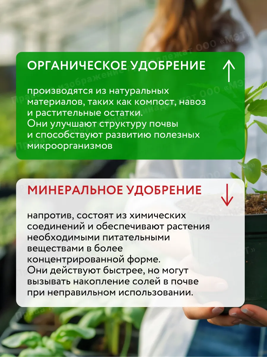 Удобрения для растений огорода и сада Текамин Раис, 250 мл. — фото 4