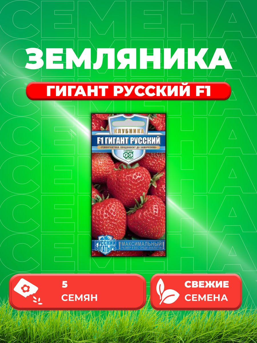 Клубника сорт f1 гигант русский. Семена клубники гигант русский Гавриш. Семена Гавриш русский богатырь клубника ремонтантная гигант русский f1, пробирка, 5 шт.. Клубника f1 Сластена.