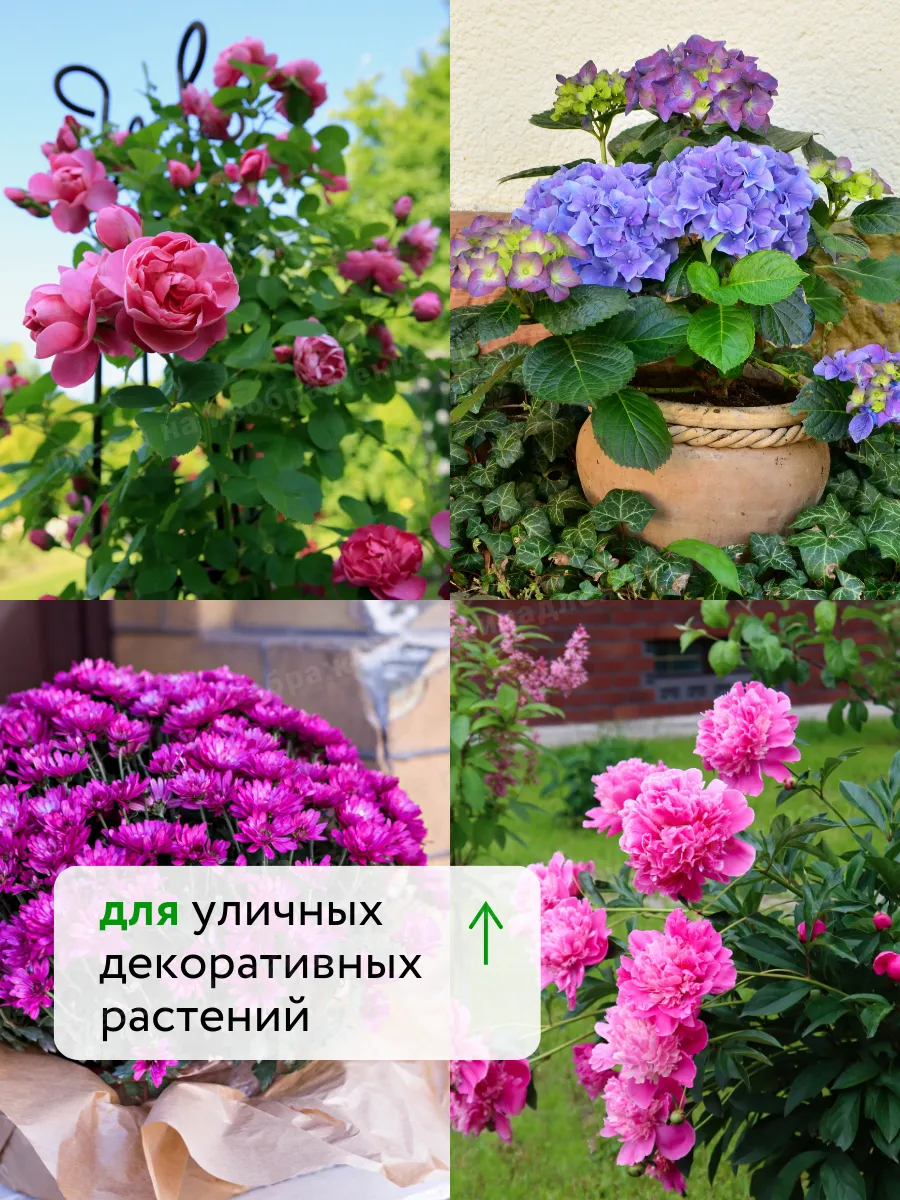 Универсальное удобрение для цветов и винограда Флауэр 250мл — фото 10