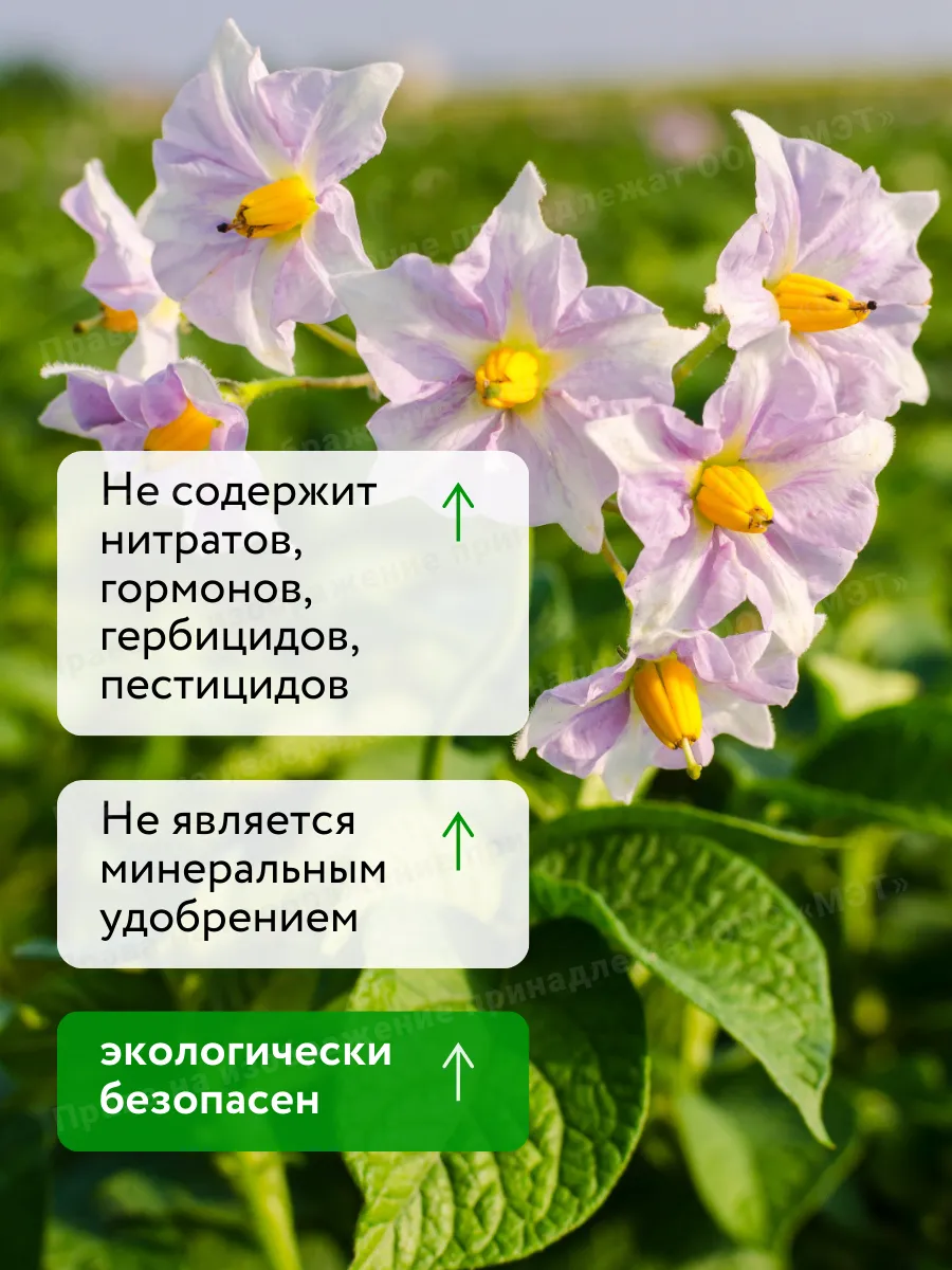 Универсальное удобрение для цветов и винограда Флауэр 250мл — фото 2