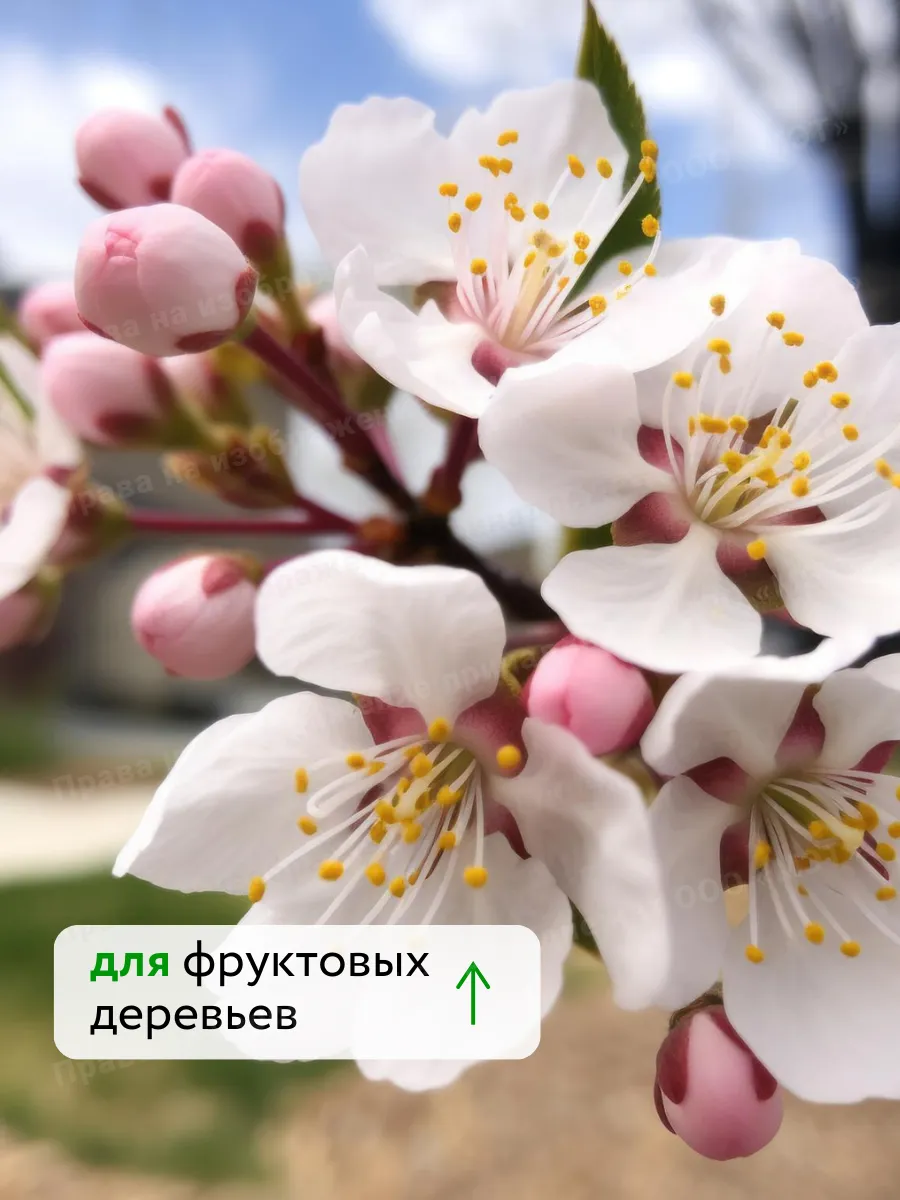 Универсальное удобрение для цветов и винограда Флауэр 250мл — фото 7