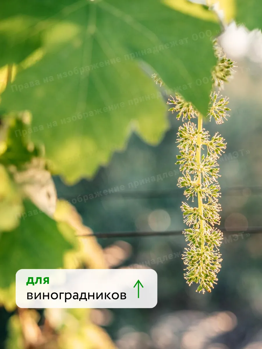 Универсальное удобрение для цветов и винограда Флауэр 250мл — фото 8