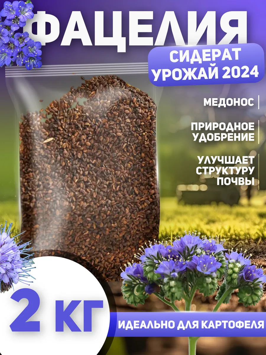 Фацелия семена сидерат 2 кг С Алтайских полей 72189496 купить за 510 ₽ в  интернет-магазине Wildberries