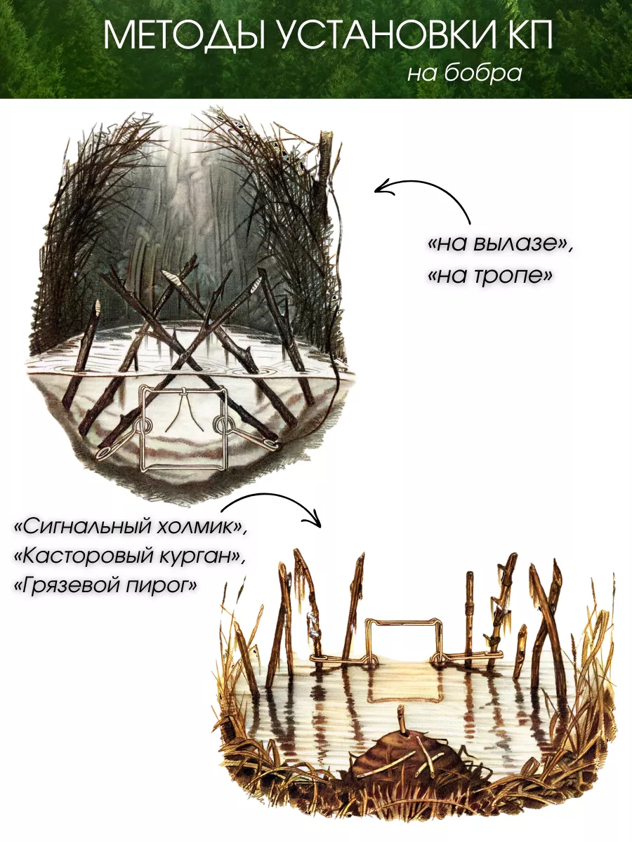 Журнал Охота: Главная страница