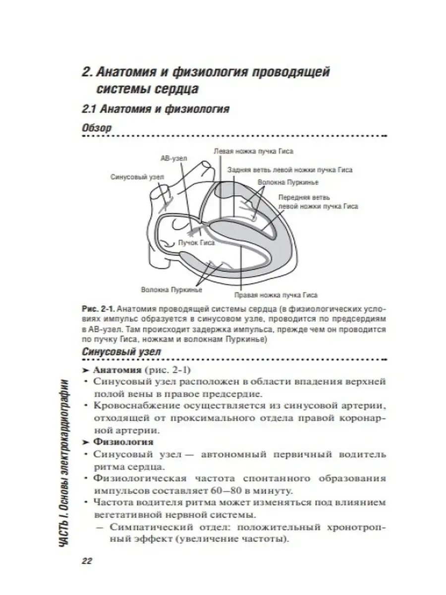 ЭКГ. Карманный справочник ГЭОТАР-Медиа 72242140 купить за 879 ₽ в  интернет-магазине Wildberries