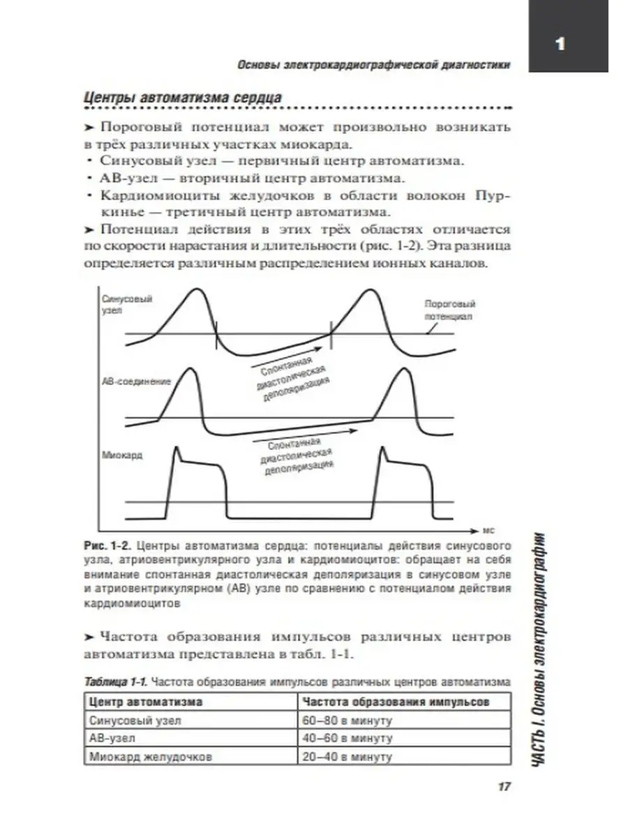 ЭКГ. Карманный справочник ГЭОТАР-Медиа 72242140 купить за 911 ₽ в  интернет-магазине Wildberries