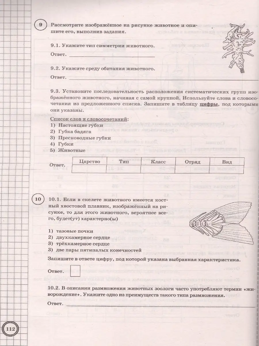 ВПР Биология 8 класс. 25 вариантов. ФИОКО. СТАТГРАД ТЗ. ФГОС Экзамен  72266414 купить за 345 ₽ в интернет-магазине Wildberries