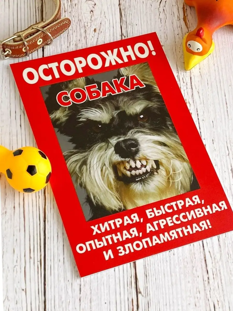 Табличка Злая собака 20х30 см ПВХ Территория охраняется Завод Рекламных  Конструкций 72327222 купить за 203 ₽ в интернет-магазине Wildberries