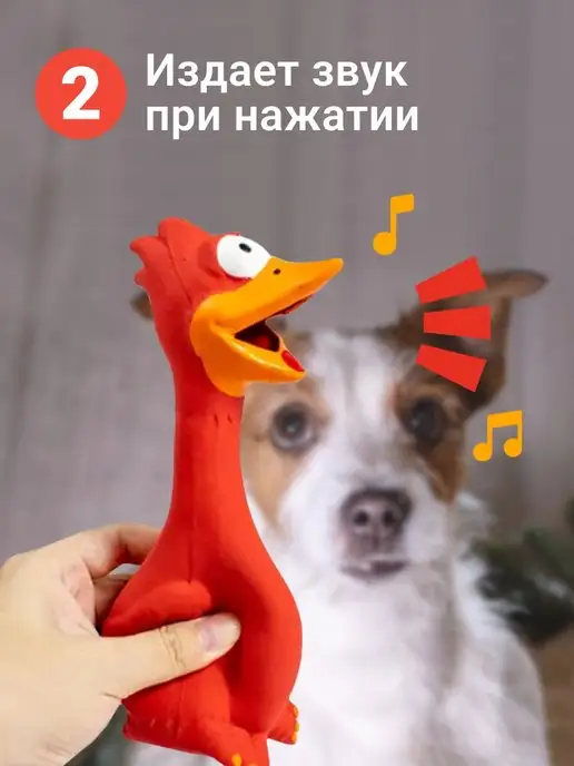 Zoowell Курица пищалка игрушка для собак для зубов развивающая, красный, фото 4