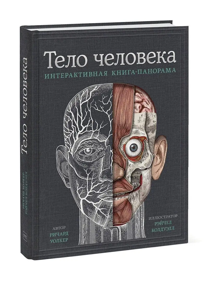 Тело человека. Интерактивная книга-панорама Издательство Манн, Иванов и  Фербер 72456930 купить в интернет-магазине Wildberries