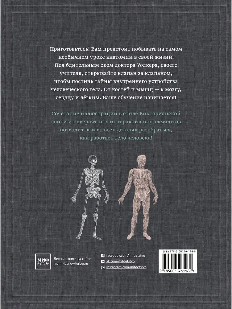 Тело человека. Интерактивная книга-панорама Издательство Манн, Иванов и  Фербер 72456930 купить в интернет-магазине Wildberries