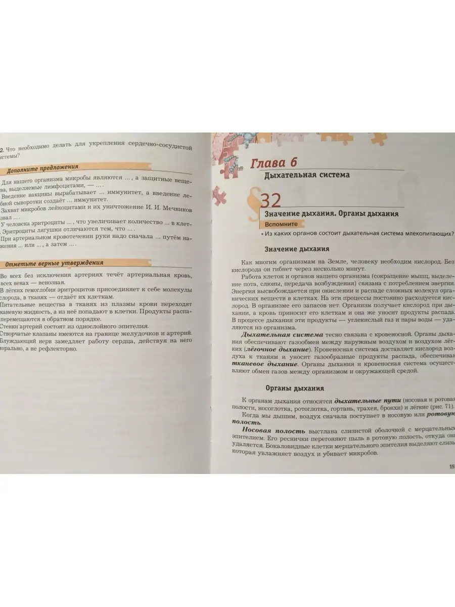 Биология 8 класс учебник А.Г.Драгомилов Р.Д.Маш Вентана Граф 72467764  купить в интернет-магазине Wildberries