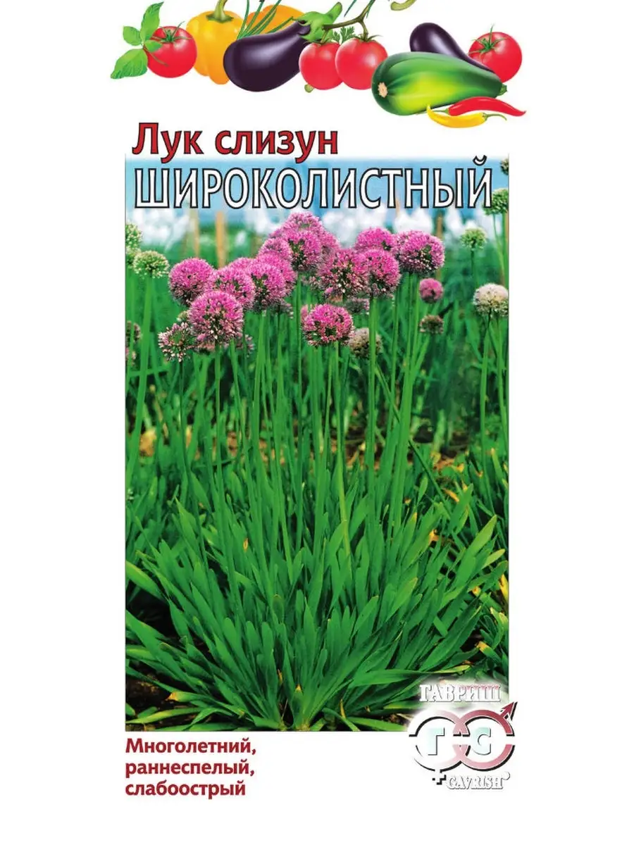 Лук слизун Широколистный 0,5 г Гавриш 72555361 купить за 210 ₽ в  интернет-магазине Wildberries