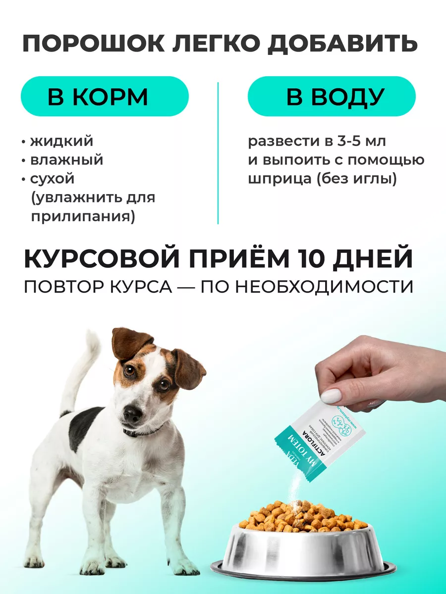 MY TOTEM ACTIFLORA, синбиотик Актифлора для собак, 30х1 г VEDA 72678794  купить за 1 046 ₽ в интернет-магазине Wildberries