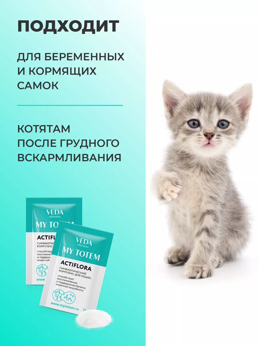 Пробиотики и пребиотик для кошек, комплекс ACTIFLORA, 30х1гр VEDA 72681869  купить за 879 ₽ в интернет-магазине Wildberries