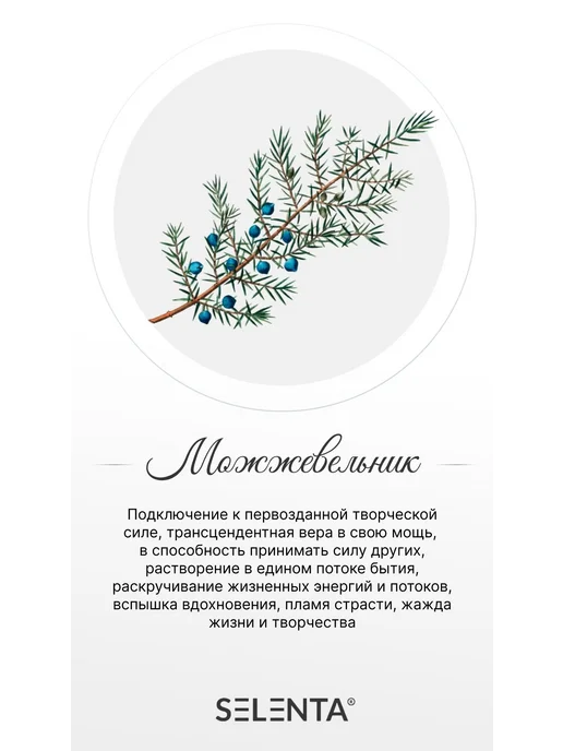 Selenta Эфирное масло Можжевельника Водорастворимое 10мл, 10 мл, фото 2